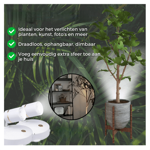 Wireless LED Spotlight Bright Light Exactly Where You Need It