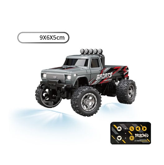 🔥 OEIN Mini RC Monster Truck